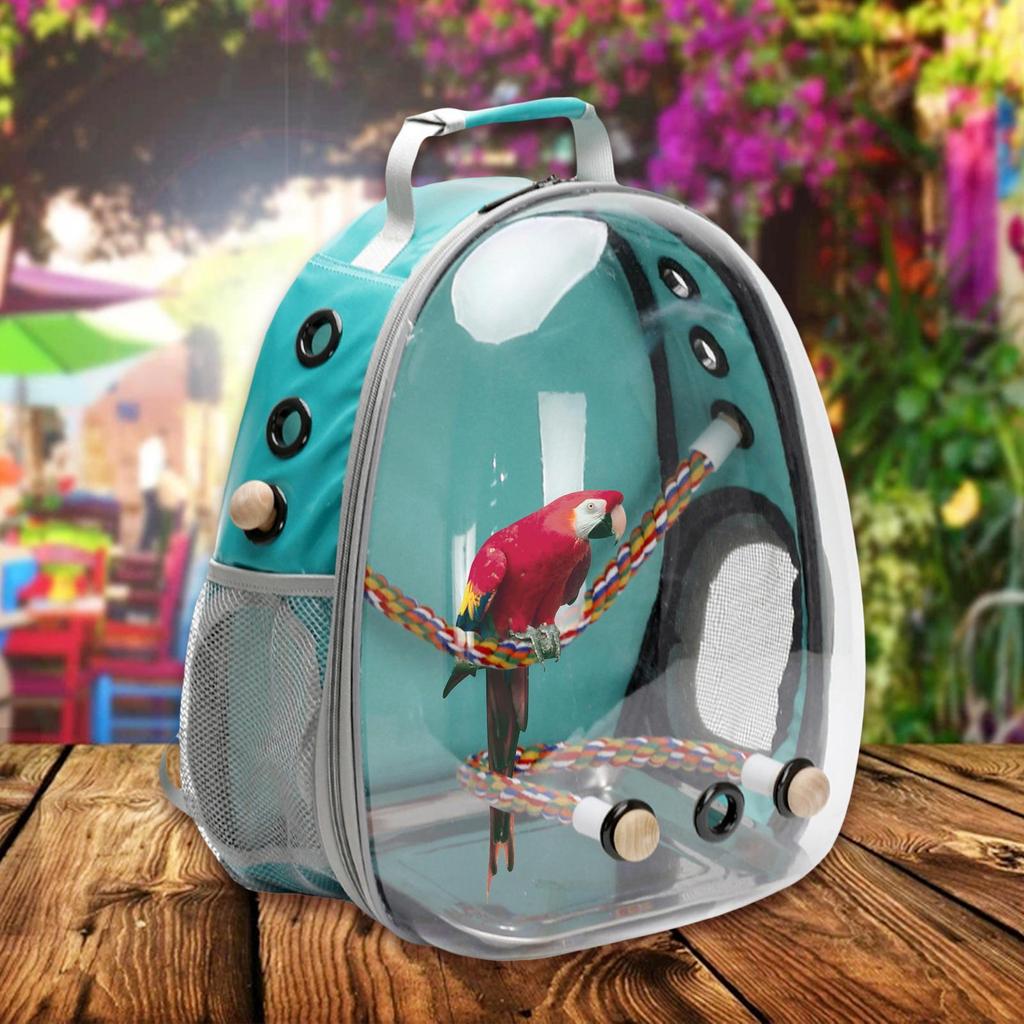 Backpack And Standing Perch