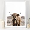 Animal Buffalo Print Nordic Poster Canvas Painting Brown Highland Cow Bull Wall Art Living Room Decoration Pictures Home Decor No Frame