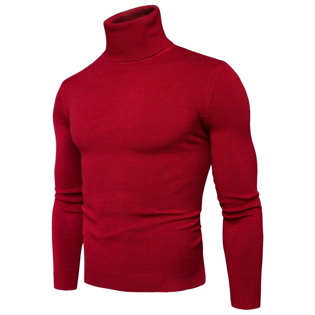 Sheath Slim Fit Men Sweater Knitted Pullovers Turtleneck Jumpers Solid Long Sleeve Slim Fit Basics Casual Standard Wool