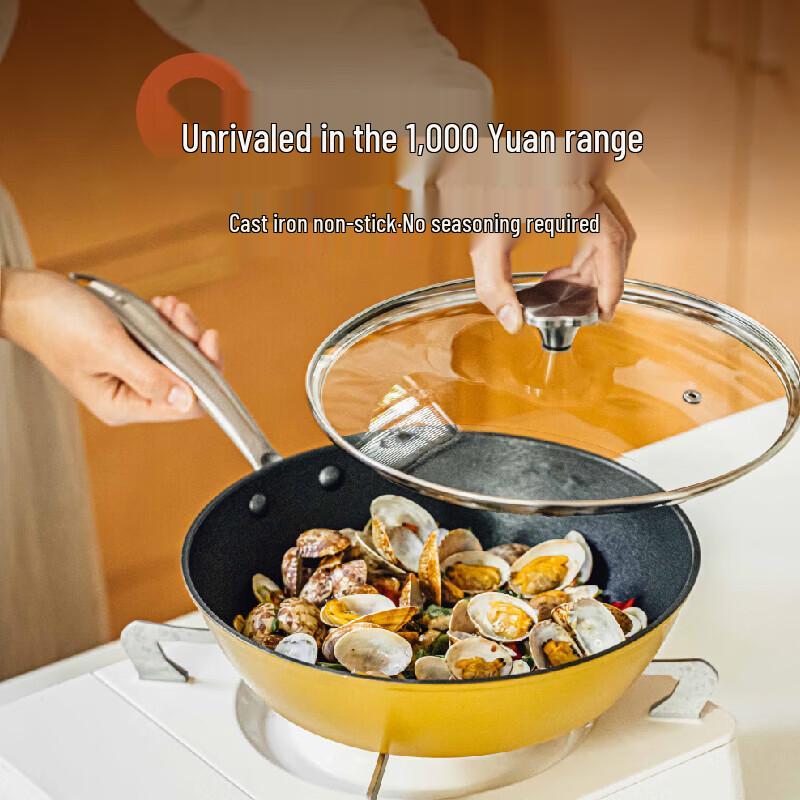 

Shuke Non-stick Cast Iron Multi-functional Frying Pan