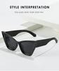 Cat Eye Sunglasses Women Men Vintage Brand Mirror Stylish Sun Glasses Female Male Cute Lens Personality Colors