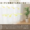 [Ueda Mosquito Net] Bright Even When Closed! Lace Curtain, 100cm Wide X 198cm Long, 2 Panels, Made In Japan, Brightens the Room, Difficult To See from