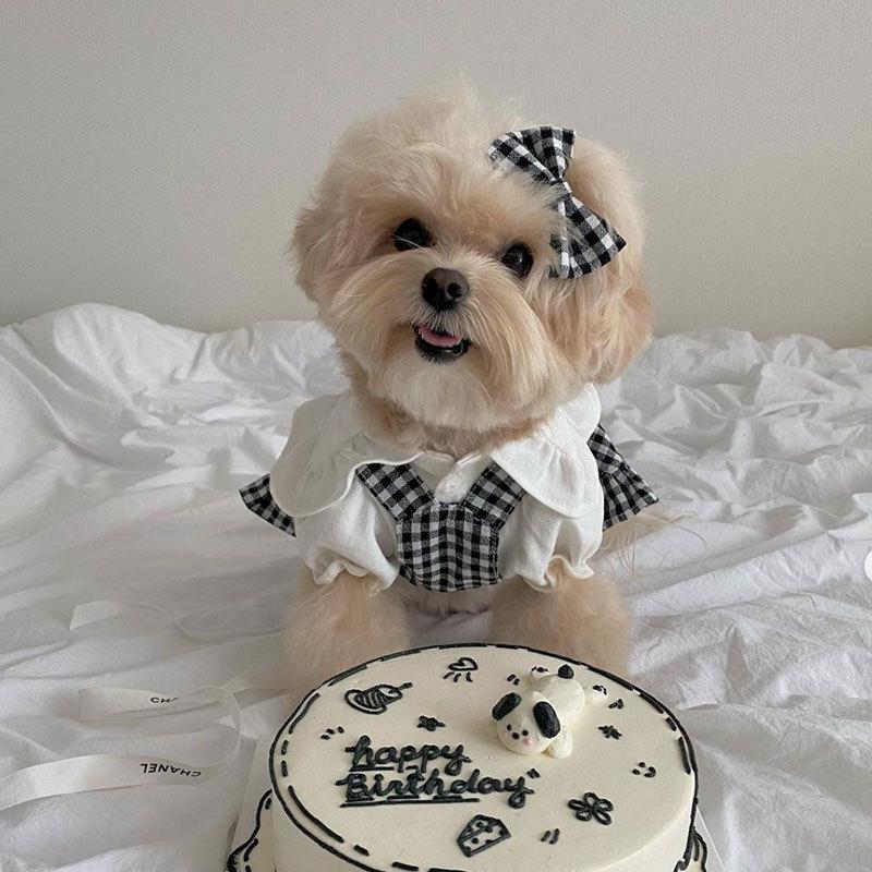 Ins Black Plaid Puppy Dog Shirt Princess Style Dress Teddy Pomeranian Small and Medium Dog Cat Pet Clothes