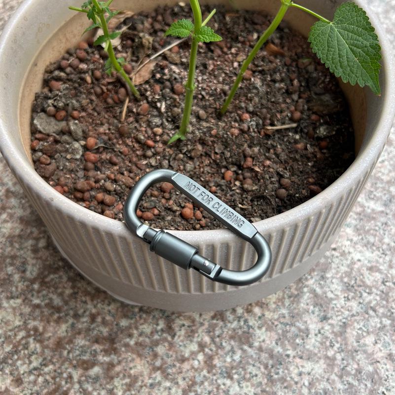 8D Colorful Aluminum Alloy Carabiner with Bold Lock for Tents and Bags