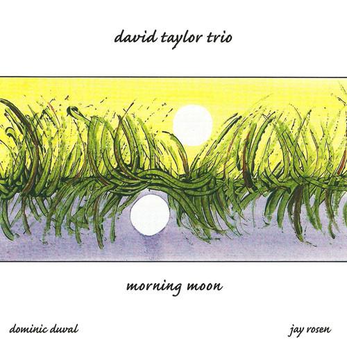 

CD DAVID TAYLOR TRIO - Morning Moon CIMP307 CIMP 2004 US Jazz Used