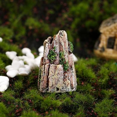 Ev Dekoru – Dekoratif Terraryumlar