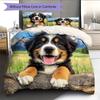 Cartoon Pattern Bedding Quilt Set Quilt Cover Pillowcase Home Decoration Birthday Gift (1 * Duvet Cover + 2 * Pillowcase, Without Core)