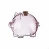 Glass Pig Storage Bottle Cute and Adorable Money Box Easy To Clean Transparent Change Bank