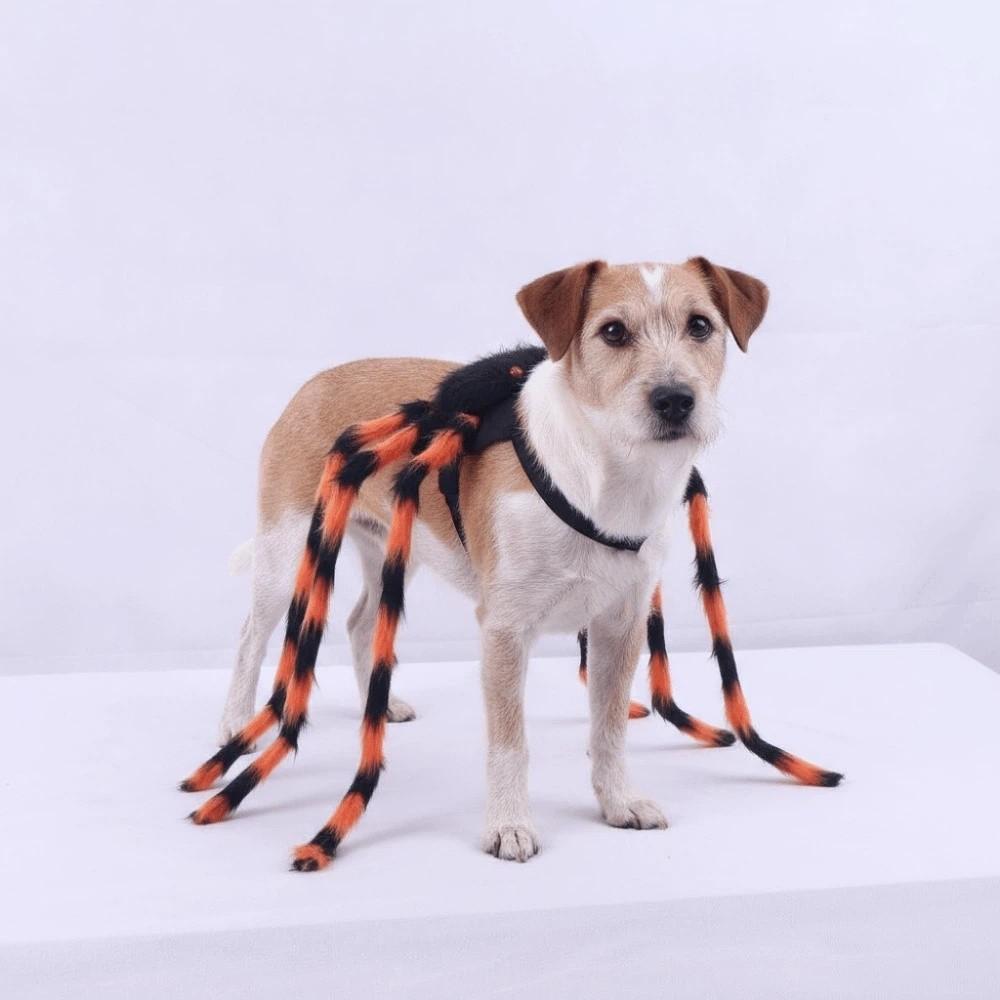 Spider Decoration Pet Spider Costume Furry Cat Cosplay Costume Pet Spider Harness Role Playing