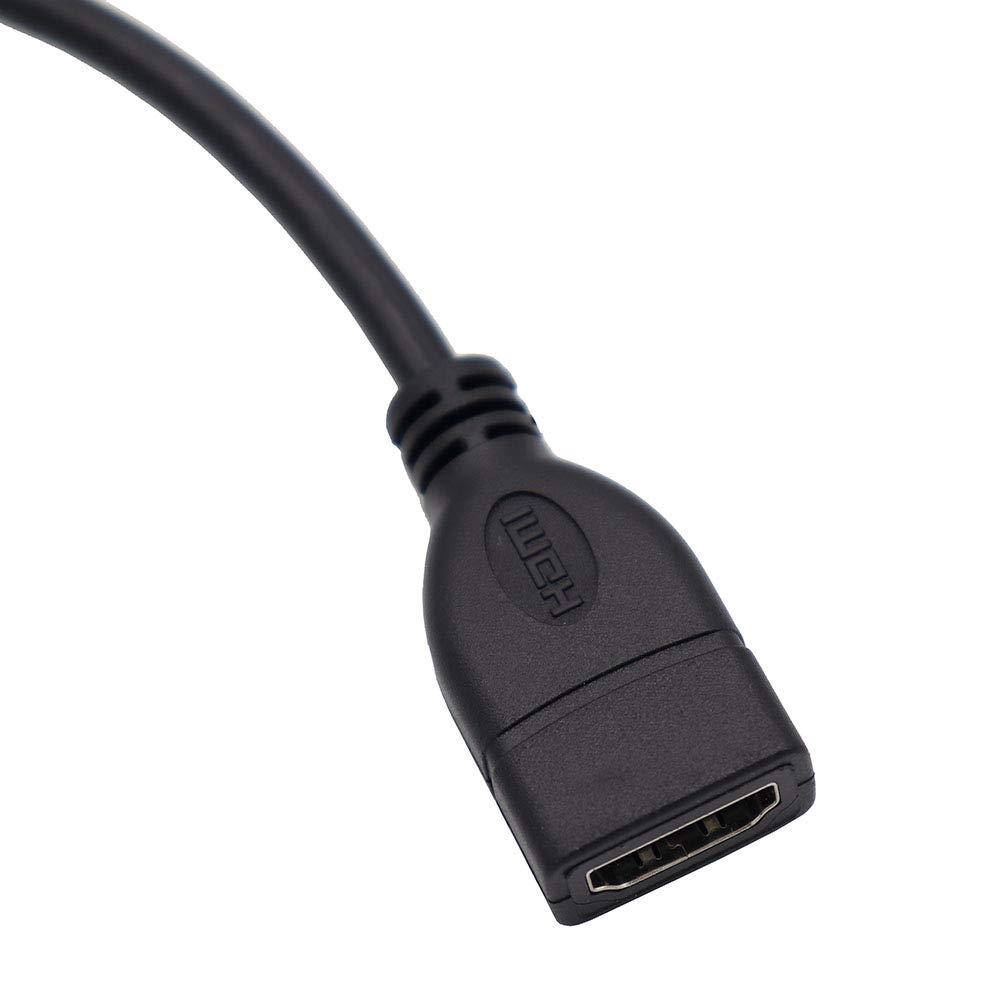 ViViSun High Speed Mini HDMI to HDMI Conversion Cable HDMI Type A Female to HDMI Type C Male Type Gold Plated Connector High Speed Data Transmission