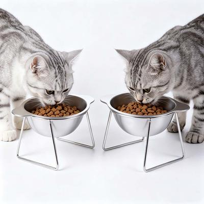 Fall-Resistant Stainless Steel Cat Bowl Cervical Protection with Stand Elevated Cat Food Bowl 15°Tilted Angle Anti Overturning