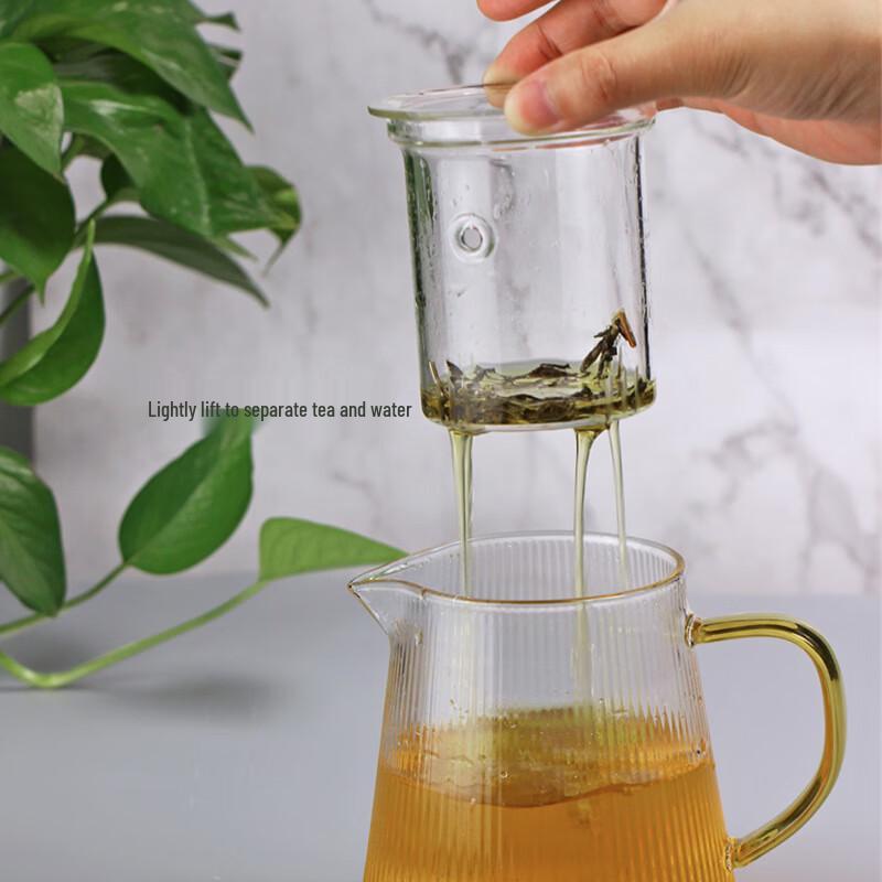 Borosilicate Glass Teapot Set