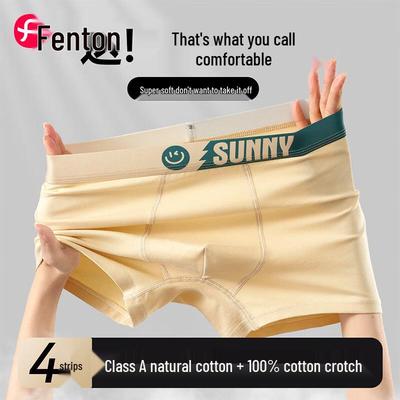 Fenteng Teen Boys' Pure Cotton Anti-bacterial Boxer Briefs