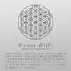 Wood Coaster Flower Life 5-piece Set Wooden Stylish Sacred Geometry Pattern Asian Kitchen Bar