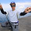 Hayabusa Jigging Sabiki for small migratory fish M