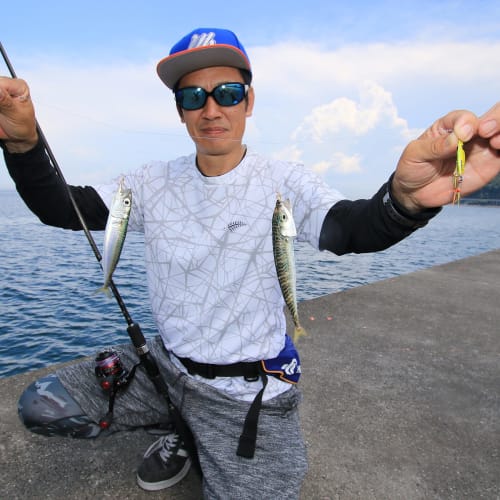 Hayabusa Jigging Sabiki for small migratory fish M