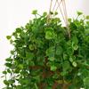1/3pc Green Leaves Ivy Artificial Plant Eucalyptus Vine Home Living Room Wall Hanging Wedding Decoration Tree Material Accessory