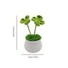 Clover and four-leaf clover potted plants, artificial plant potted plants, home and office desk decoration, display gifts