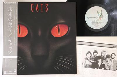 LP-Platte CATS - Cats P10865E ELEKTRA 1980 Japan Obi Rock Gebraucht