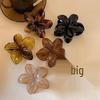Accessori per capelli – Fermagli per capelli