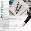 Sailor Fountain Pen Promenade Shining Blue Medium 11-1031-440