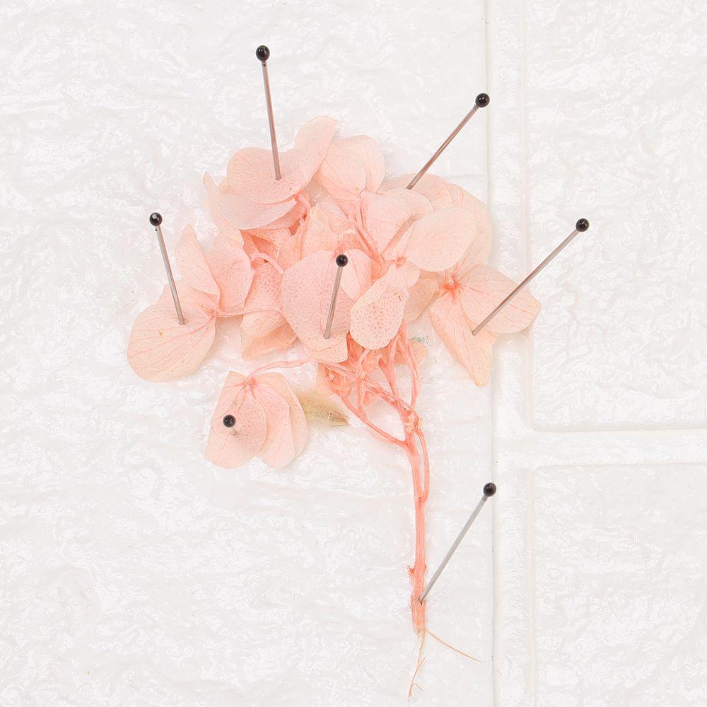 100Pcs Good Flexibility Lab Accessories Entomology Specimen Pins Pin Needle Insect Dissections Supplies