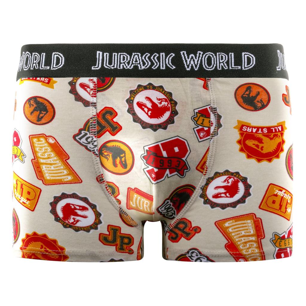 Set mit 4 Jurassic Kinderboxershorts