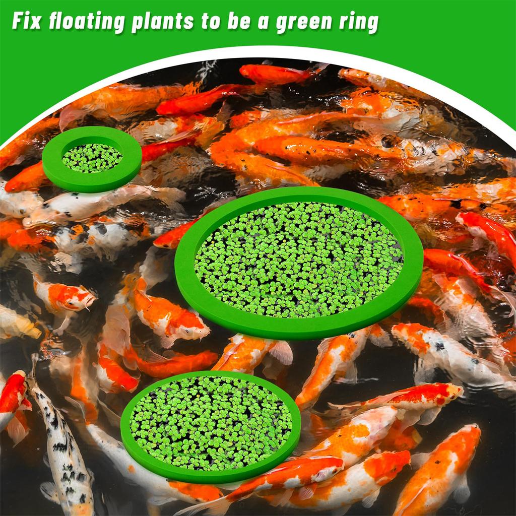Aquarium Floating Plant Corral 5/10Pcs Floating Plant Holder Fish Feeding Rings for Fishtanks 80-200mm Pet Supplies