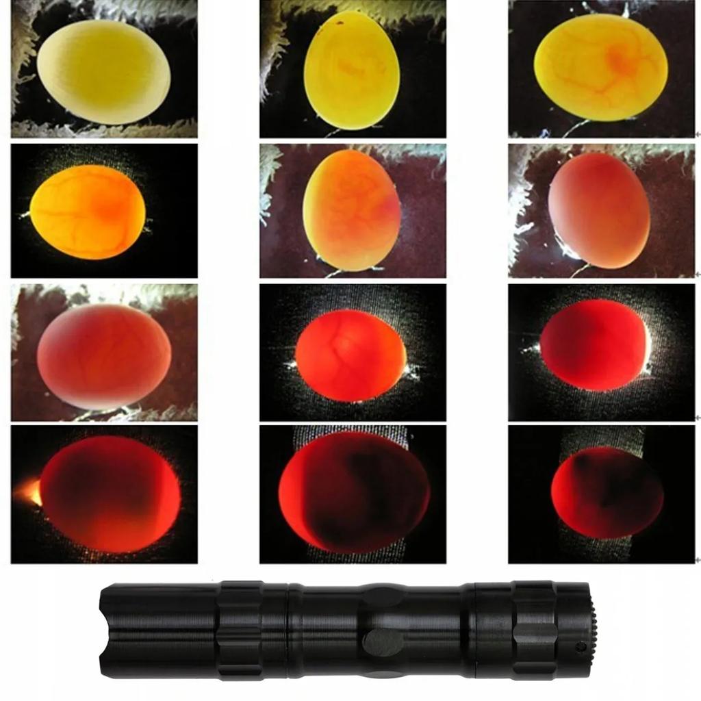 Brutapparat Schlupfbrüter Für Eier Ausbrüten Geflügel 9
