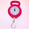 Handheld Mini Electronic Hook Scale: High-Precision for Vegetables, Luggage, Parcels