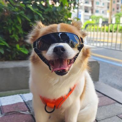 Tragbare Mehrfarbige Haustierbrillen Winddicht Sonnenschutz Haustier Sonnenbrillen UV-Schutz Sonnenschutz Hund UV-Schutzbrillen Hund