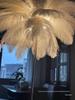 Ostrich Feather Romantic Floor Lamp - French Influencer Style for Living Room or Bedroom