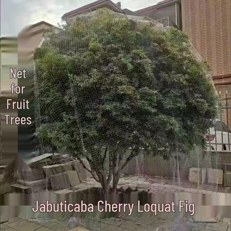Orchard Anti-Bird Nylon Net for Cherry & Jaboticaba Trees - Sky Grape Protection