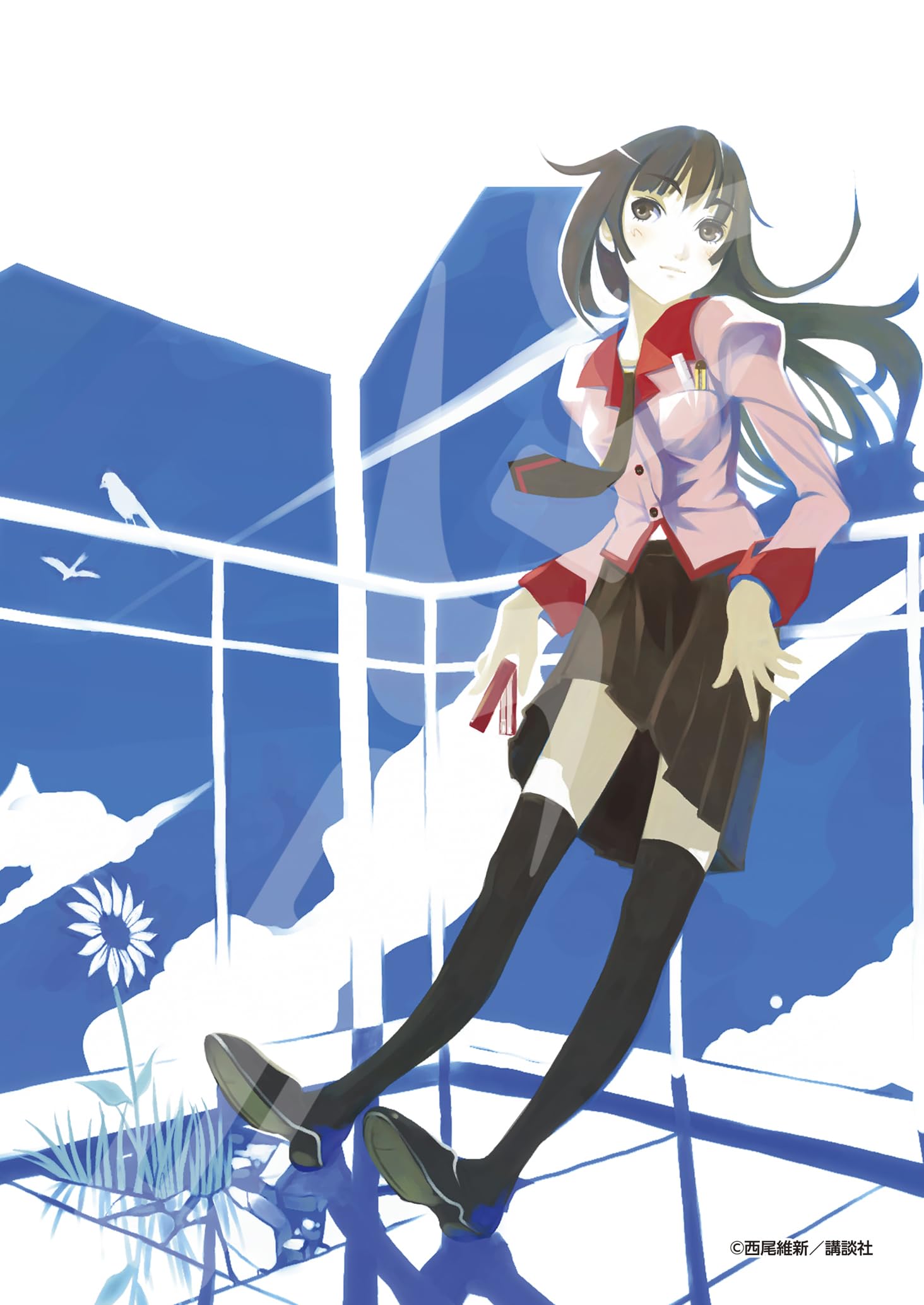 

Серия пазлов Ensky Bakemonogatari x 208 деталей «Monogatari» (часть 1) (18,2 25,7 см)