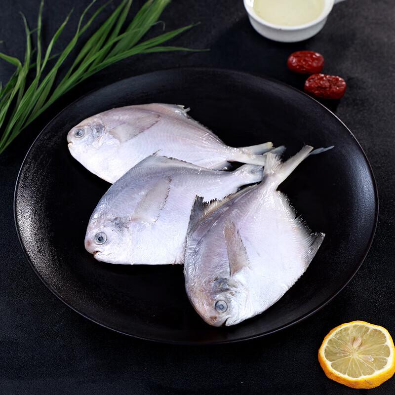 Xinglonggang Silver Pomfret