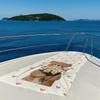 Daisy Bear Hugs Quick Drying Bath Towel Microfiber Beach Towel - Light Weight Swimming Camping  Yoga Beach Out