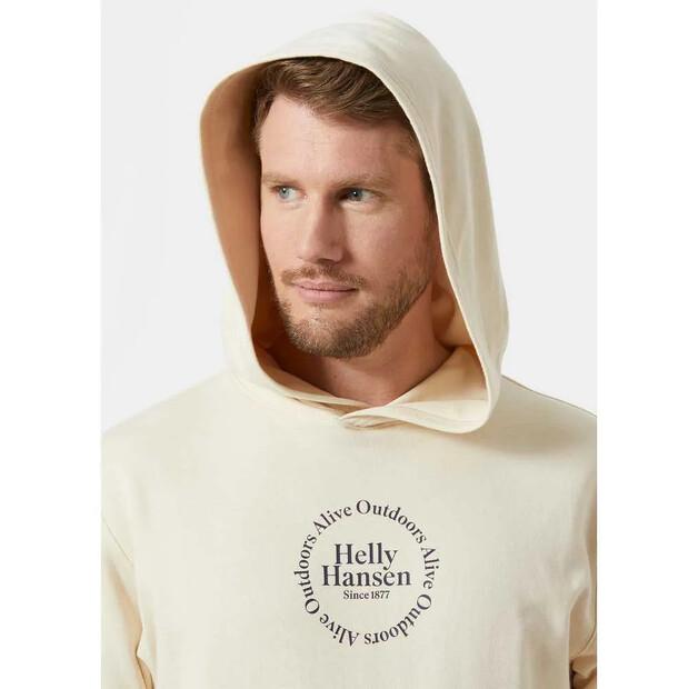 Helly Hansen Core Graphic худи