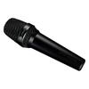 LEWITT MTP 250 DM Dynamic Microphone