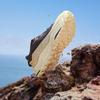 361° Wuxia OD Men's Trail Running Shoes
