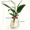 Simple modern transparent glass hydroponic plant stand vase office desktop ornament home decoration flower pot