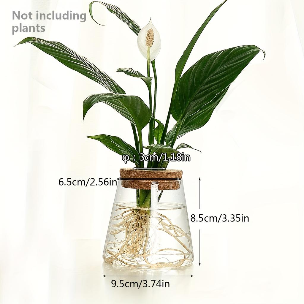 Simple modern transparent glass hydroponic plant stand vase office desktop ornament home decoration flower pot
