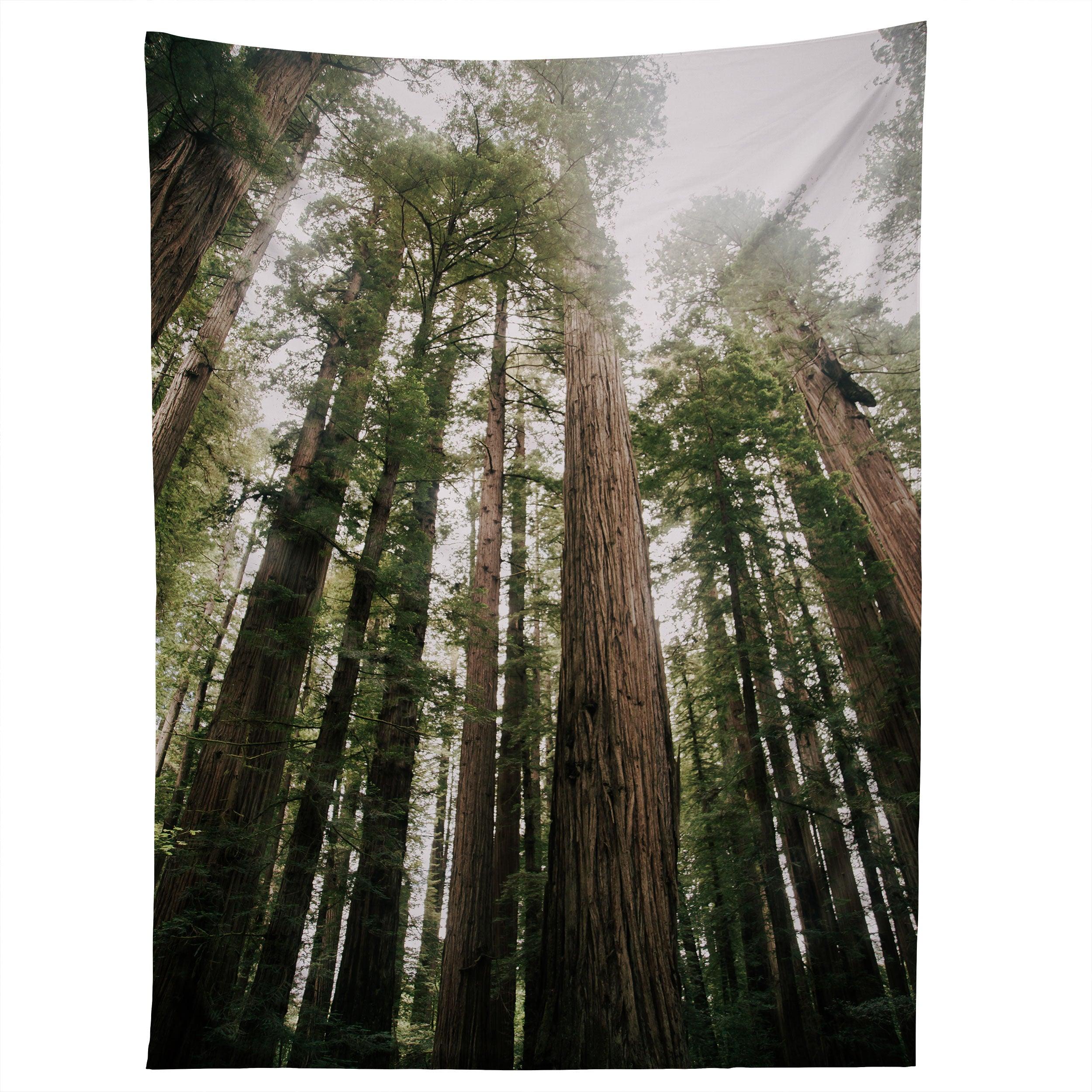TALL TREES tapestry 75x100