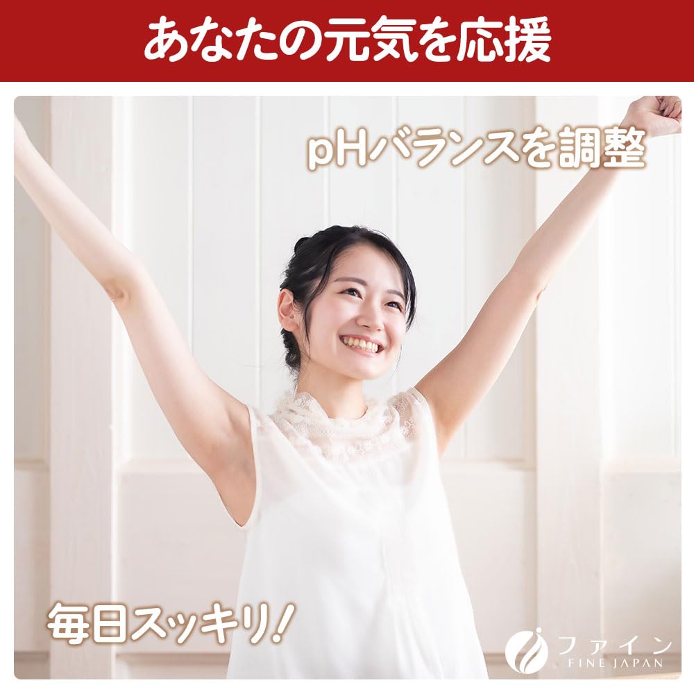 FINE JAPAN Commercial Baking Soda 800g Made in Japan