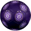 Austria Vienna FC Size 5 Soccer Ball, Machine-Stitched PVC, Durable & High Bounce, All Ages Fit, Fan Merchandise, Matches & Outdoor Use.