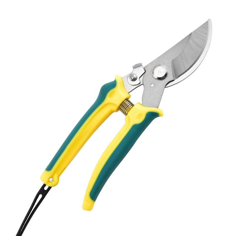 Branch and Flower Pruning Shears for Gardening and Floristry
