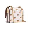 Coach Klare 21 Strawberry Print Chain Shoulder Strap Leather Accordion Bag Women Shoulder Bag CB599-IMCAH