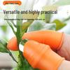 Stainless Steel Thumb Knife for Vegetable, Tea, and Garlic Peeling