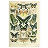 Vintage-Leinwandgemälde mit Gemüse, Früchten, Pilzen, antike Wandkunst, botanische Bilder, wissenschaftliche Poster und Drucke, Heimdekoration