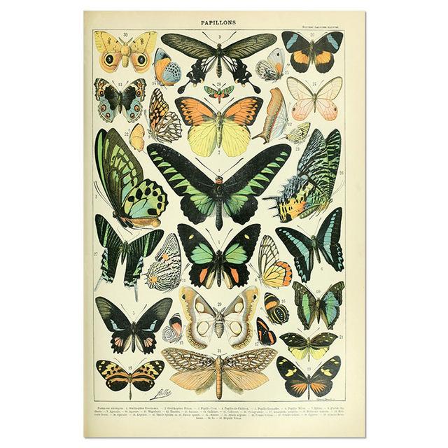 Vintage-Leinwandgemälde mit Gemüse, Früchten, Pilzen, antike Wandkunst, botanische Bilder, wissenschaftliche Poster und Drucke, Heimdekoration