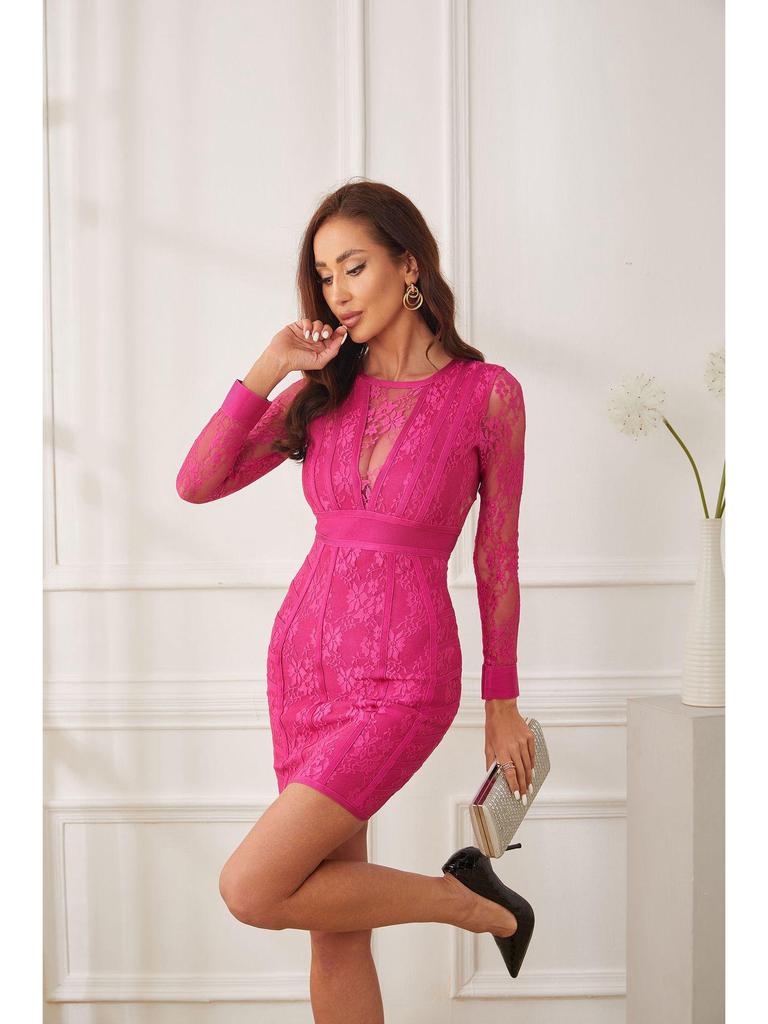 Elegant Rose Red Mesh Lace Bodycon Dress